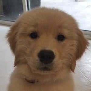 Meet your Posher, Aimee